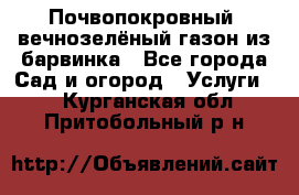 Почвопокровный, вечнозелёный газон из барвинка - Все города Сад и огород » Услуги   . Курганская обл.,Притобольный р-н